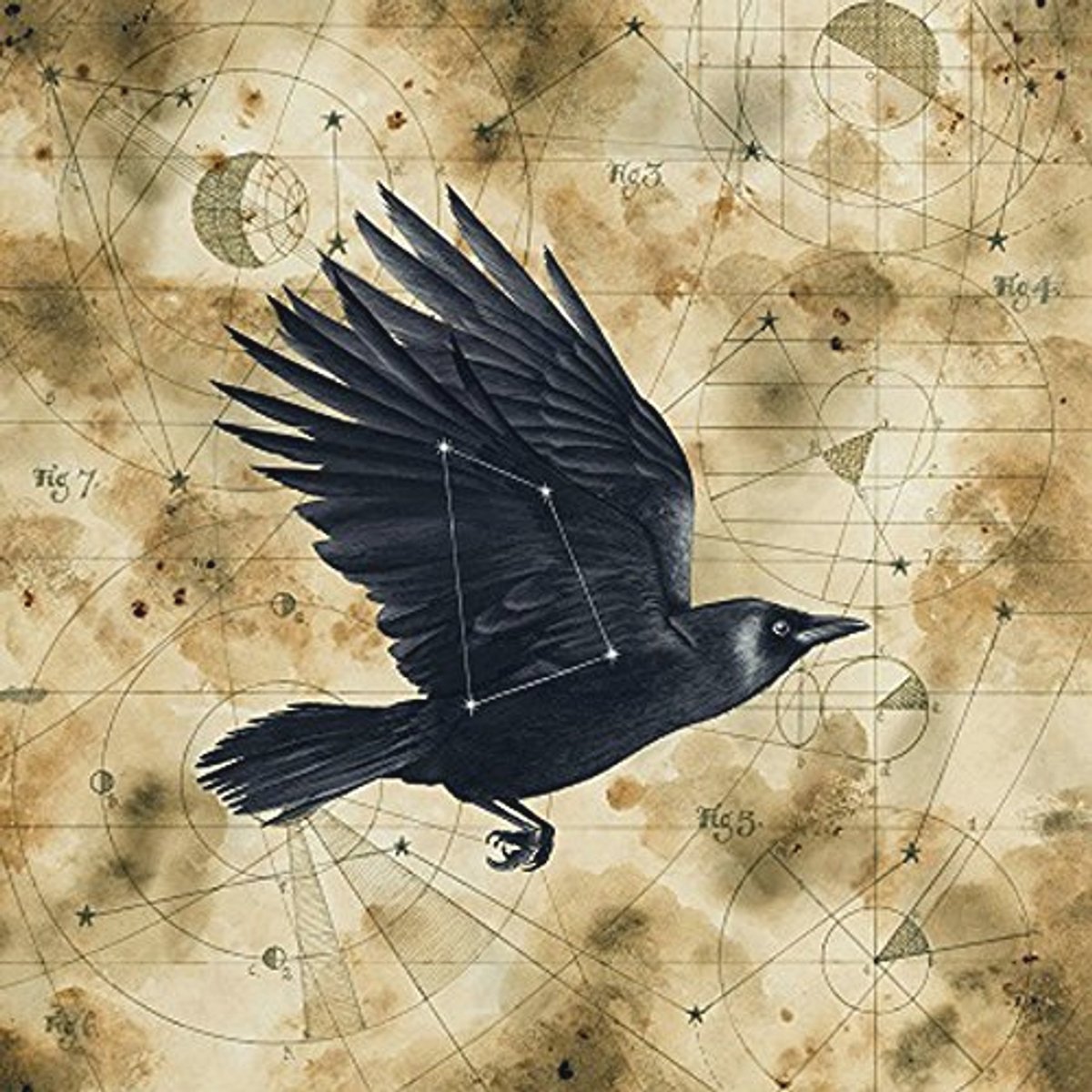 Grimspound - Progressive Rock Album met Epische Composities