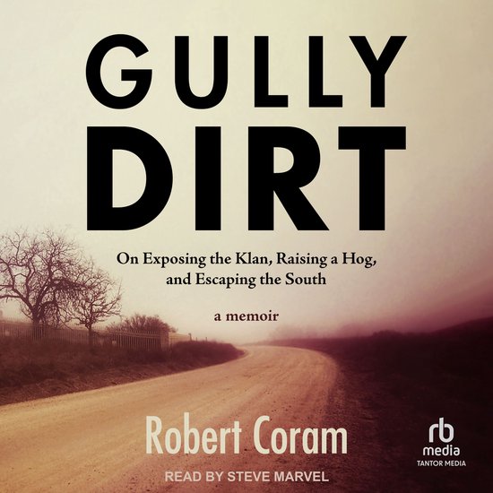 Gully Dirt - cover
