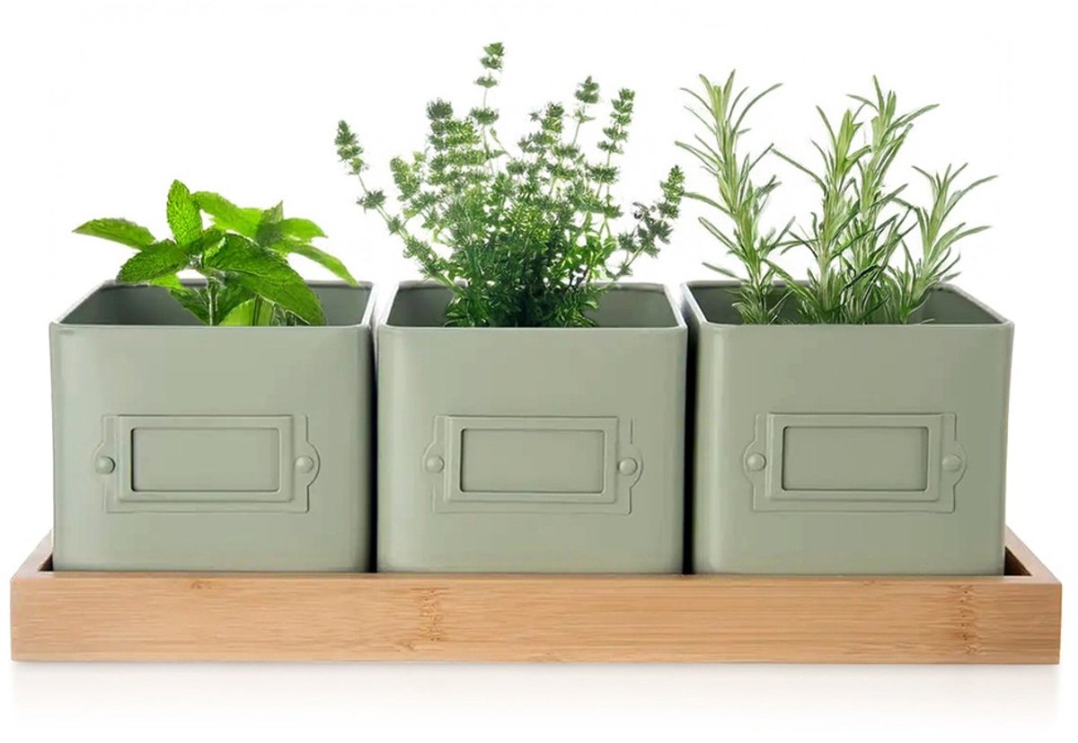 Orion Greenish Serie - Kruidenpot Met Onderzetter - Metaal En Bamboe - Set Van 3