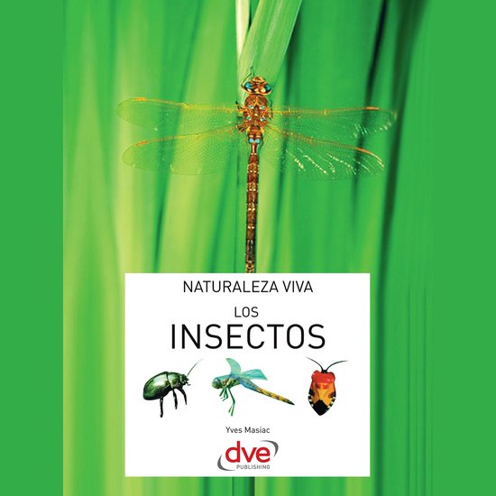 Los insectos - cover
