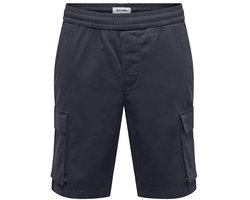 Only & Sons Cam Life Linus Cargo Shorts Blauw L Man
