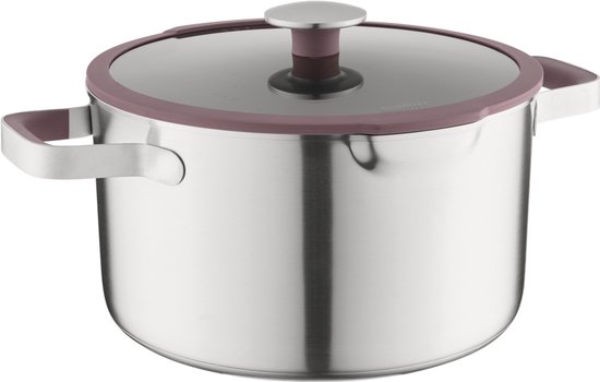 Rvs kookpan met auberginekleurige rand en handvatten, glazen deksel.