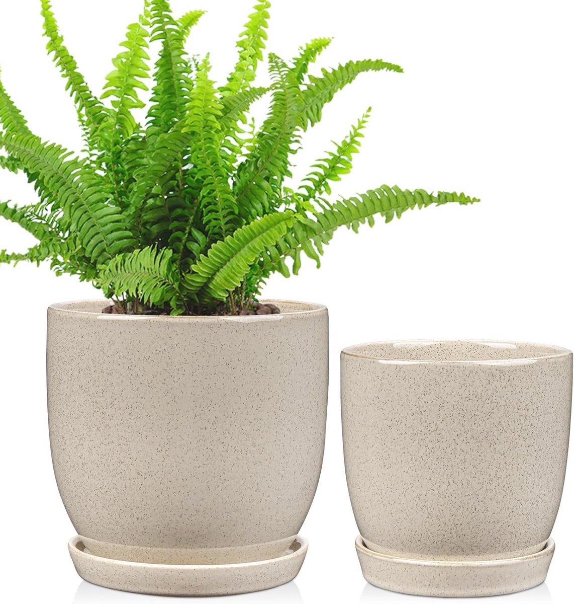 Set van 2 Keramische Plantenpotten met Drainagegaten voor Binnen - Decoratieve Bloempotten voor Succulenten en Cactussen