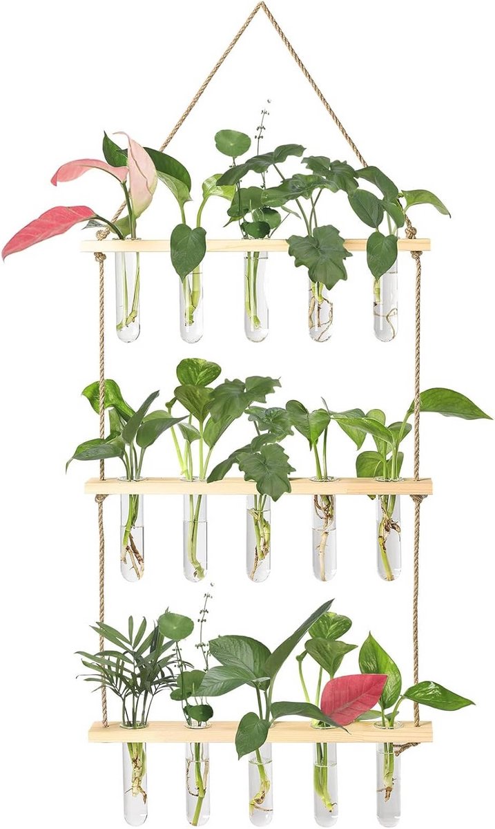 Wandhangend Kweekstation met Glazen Reageerbuizen en Houten Standaard voor Planten Decoratie