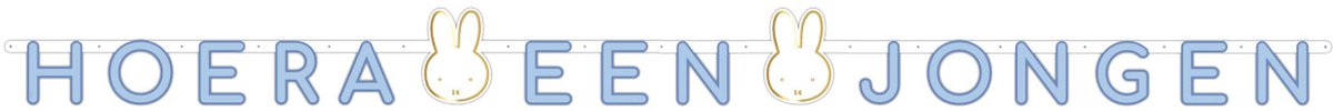JeP Party Nijntje Letterslinger Jongen