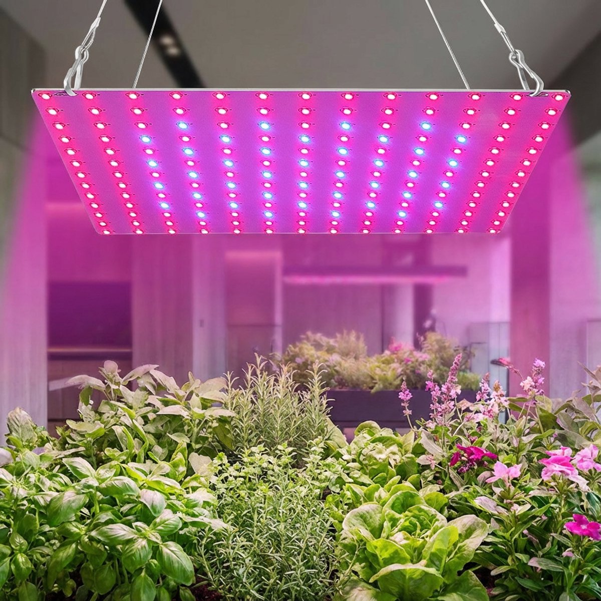 MUPOO LED Kweeklamp - 81 LEDs Rood Blauw - Groeilamp voor Binnenplanten - 8W