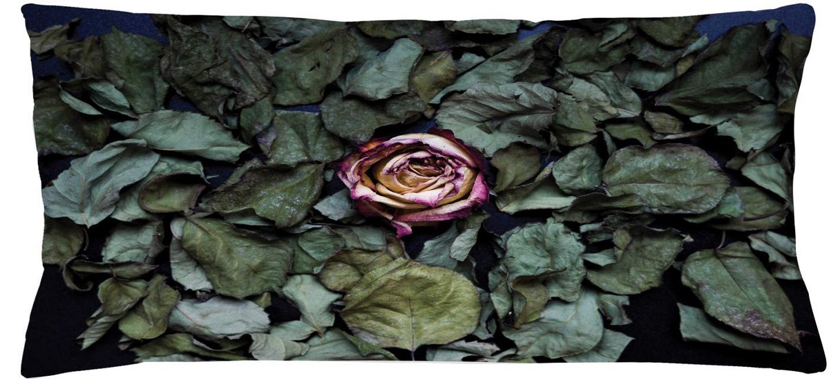 ABAKUHAUS Vintage-Rose Kussenhoes – Dubbelzijdig bedrukt – 90×40 cm – Babyroze/Saliegroen