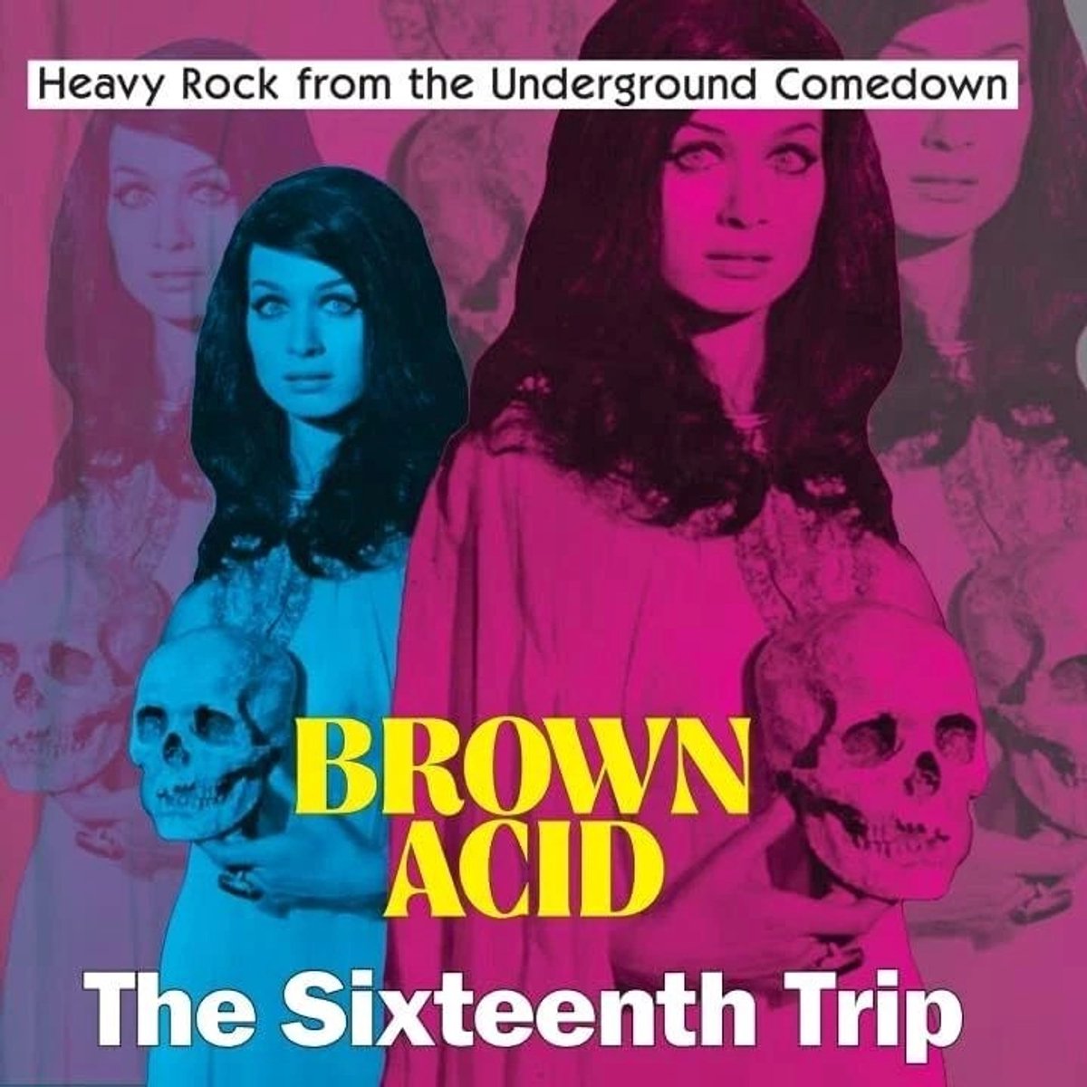 Various Artists - Brown Acid: The Sixteenth Trip (LP)