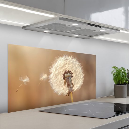 Spatscherm 100x50 cm - Zelfklevende achterwand Paardenbloem - Beige - Natuur - Bloem - Keuken muurbeschermer - Spatwand fornuis