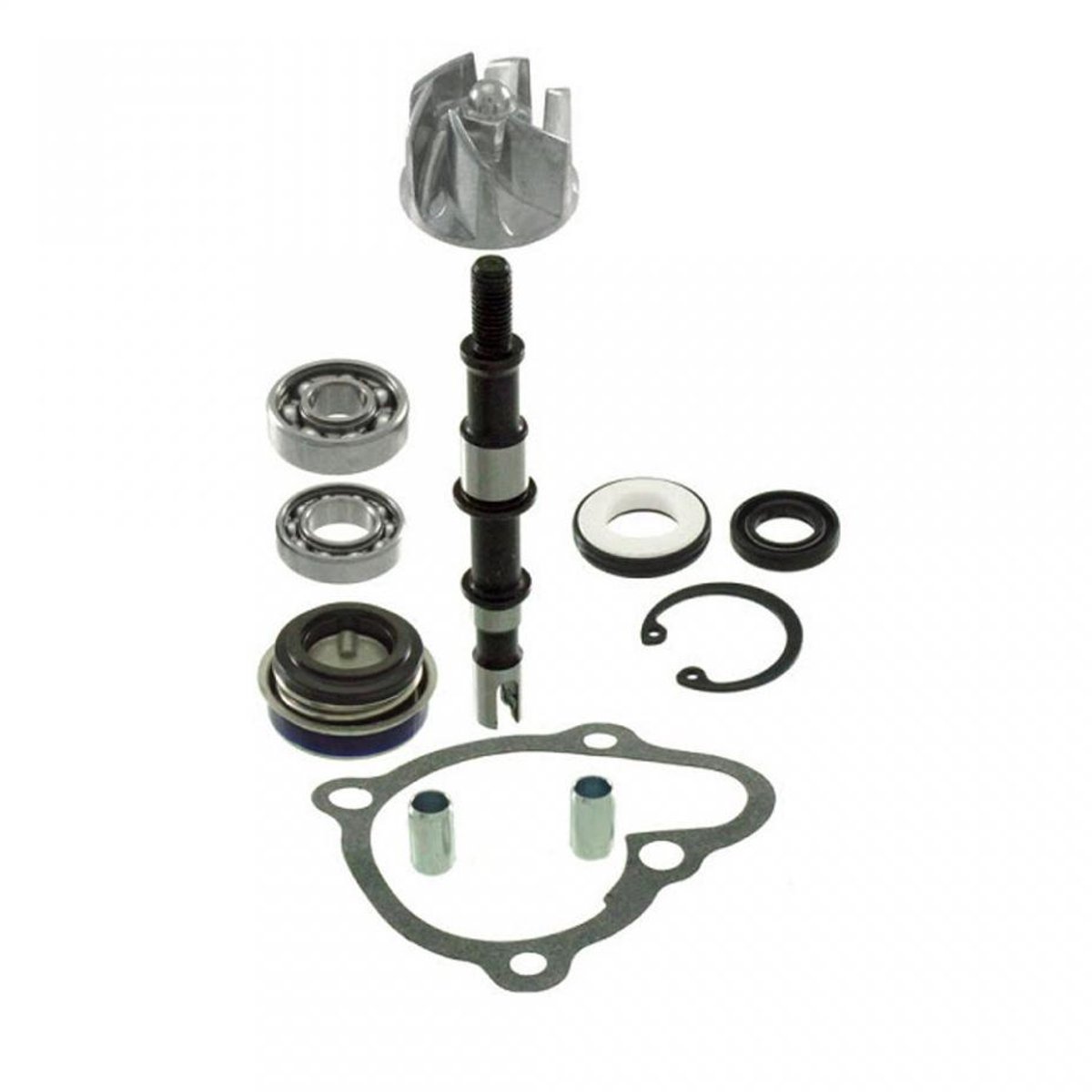 Pompe à eau RMS pour Auto T71000 Neuf