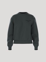 Björn Borg Essential 1 Trui Lange Mouw Dames Sweater - Vrouwen Trui - Urban Chic Groen - Maat L