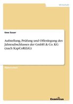 Aufstellung, Prufung und Offenlegung des Jahresabschlusses der GmbH & Co. KG (nach KapCoRiLiG)