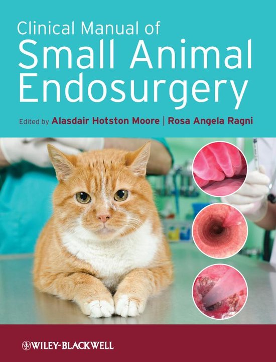Clinical Manual of Small Animal Endosurgery - cover