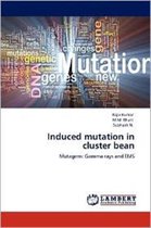 Induced mutation in cluster bean
