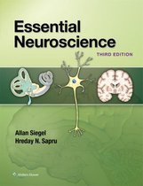 Essential Neuroscience 3rd