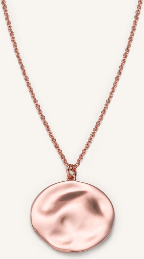 Rosefield Dames Ketting - Iggy Collection Textured Coin - Rosé Goud -  JTXCR-J079 | bol.com