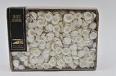 Schelpen - Clamrose Shell 1000gr In Box 15x20x6cm Natural