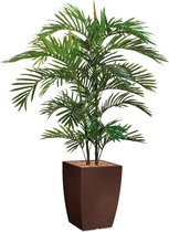 HTT - Kunstplant Areca palm in Genesis vierkant bruin H150 cm
