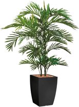HTT - Kunstplant Areca palm in Genesis vierkant antraciet H150 cm