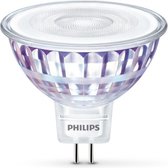 Philips Spot (dimbaar)
