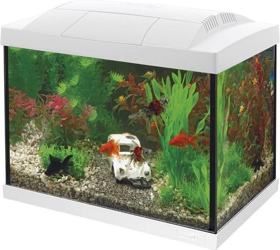 Superfish Start 20 Goldfish Aquarium LED - 36 x 23 x 32.1 cm - 20 L - Wit