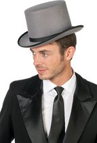 Hoge verkleed hoed grijs voor volwassenen - Carnaval hoeden