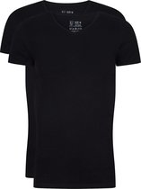 RJ Bodywear Everyday - Den Bosch - 2-pack - stretch T-shirt V-hals - zwart -  Maat M
