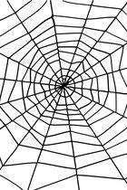 SMIFFYS - Halloweenspinnenweb - Decoratie > Decoratie beeldjes