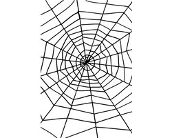 Smiffys - Spider & Spiders Web Halloween Decoratie - Zwart