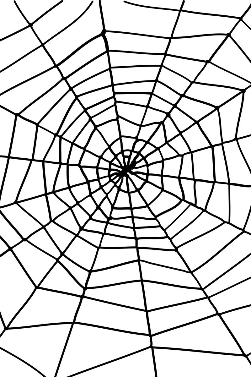 SMIFFY'S - Halloweenspinnenweb