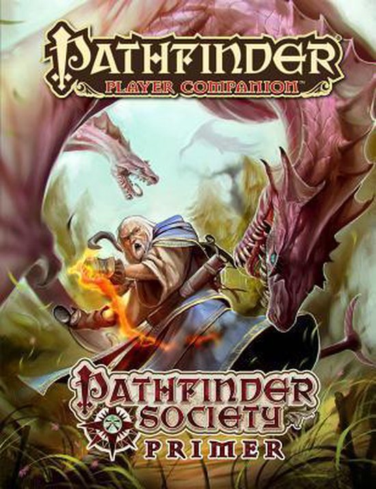 Afbeelding van het spel Pathfinder Player Companion