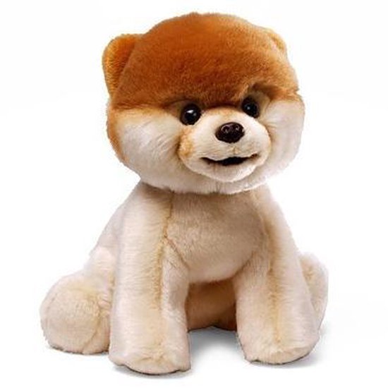 Grondig paradijs Vergoeding Boo Worlds Cutest Dog 23 cm | bol.com