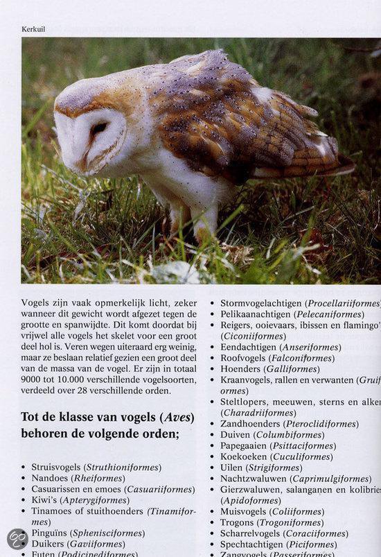 Geillustreerde Wilde Dieren Encyclopedie E Verhoef Verhallen 9789036613255 Boeken Bol Com