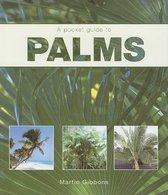 A Pocket Guide to Palms