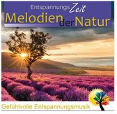 Melodien Der Natur Entspannungszeit