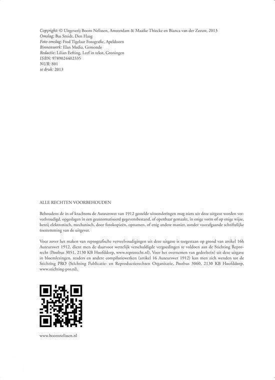 Systemisch TransitieManagement