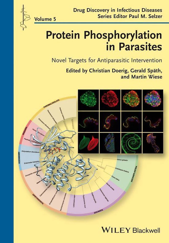 Drug Discovery in Infectious Diseases - Protein Phosphorylat ... - cover