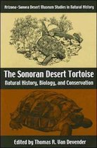 The Sonoran Desert Tortoise