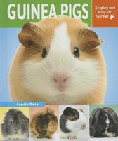 Keeping and Caring for Your Pet- Guinea Pigs