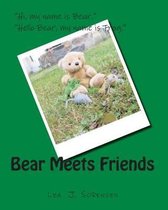 Bear Meets Friends