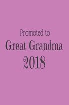 Promoted to Great Grandma 2018