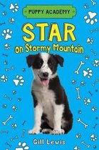 Star on Stormy Mountain