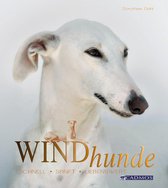 Hunderassen - Windhunde