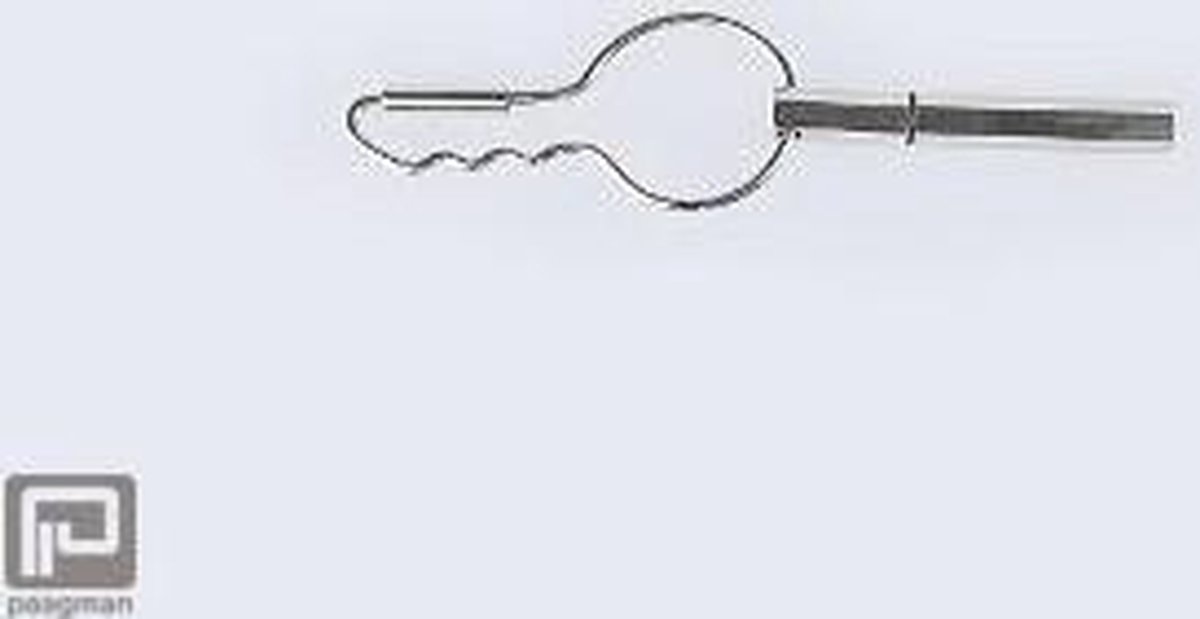 DOIY Keyring Pen sleutelhanger zilver