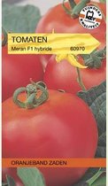 Oranjebandzaden -  Tomaten Morane F1