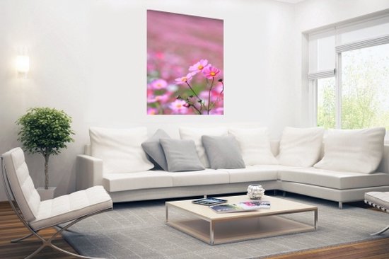 Affiche Fleur Cosmos 75x150 cm - Tirage photo sur Poster (décoration murale salon / chambre) / Poster Fleurs