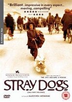 Stray Dogs