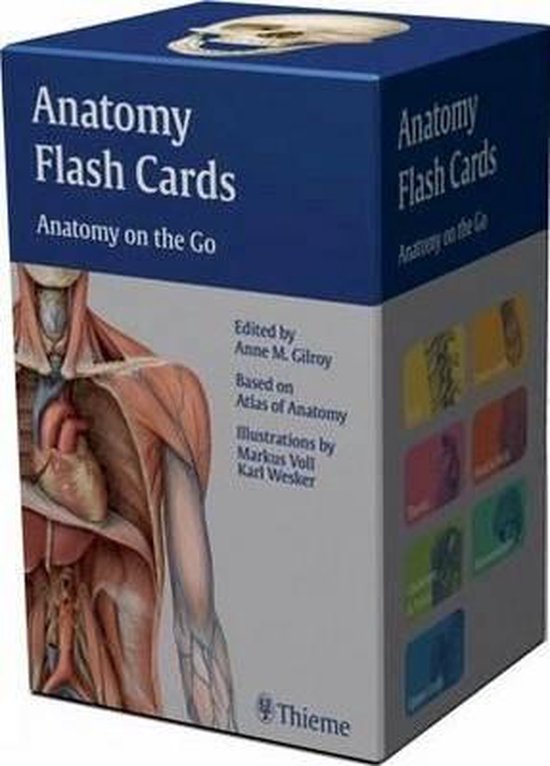 Anatomy Flash Cards 9781604060720 Anne M Gilroy Boeken