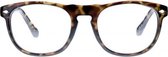 Icon Eyewear Leesbril / TCD002 +1.00