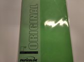 Papicolor Original Papier A4 105 gsm 12 Sheets Grasgroen
